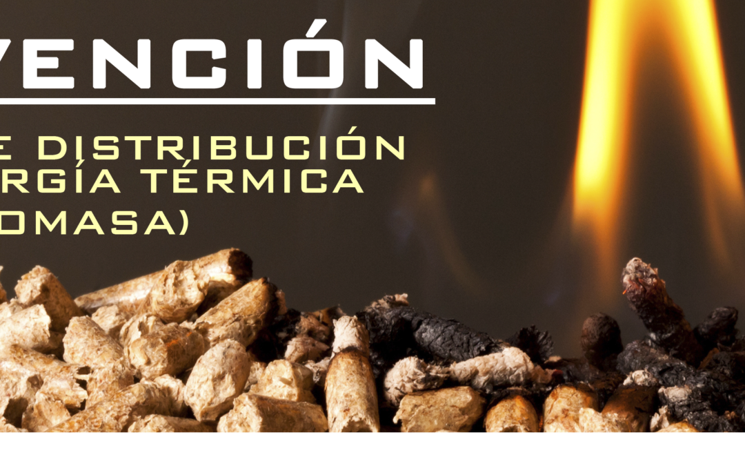 Ayudas/subvenciones para biomasa en redes de distribución de energía térmica