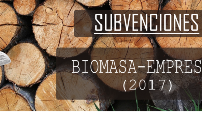 Subvenciones para proyectos de biomasa en empresas, administraciones, entidades sin ánimo de lucro y autónomos – 2017