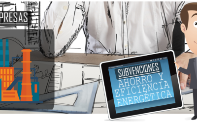 SUBVENCIONES: PROYECTOS DE AHORRO Y EFICIENCIA ENERGÉTICAS, AUDITORÍAS ENERGÉTICAS Y SISTEMAS DE GESTIÓN EN EMPRESAS – 2019