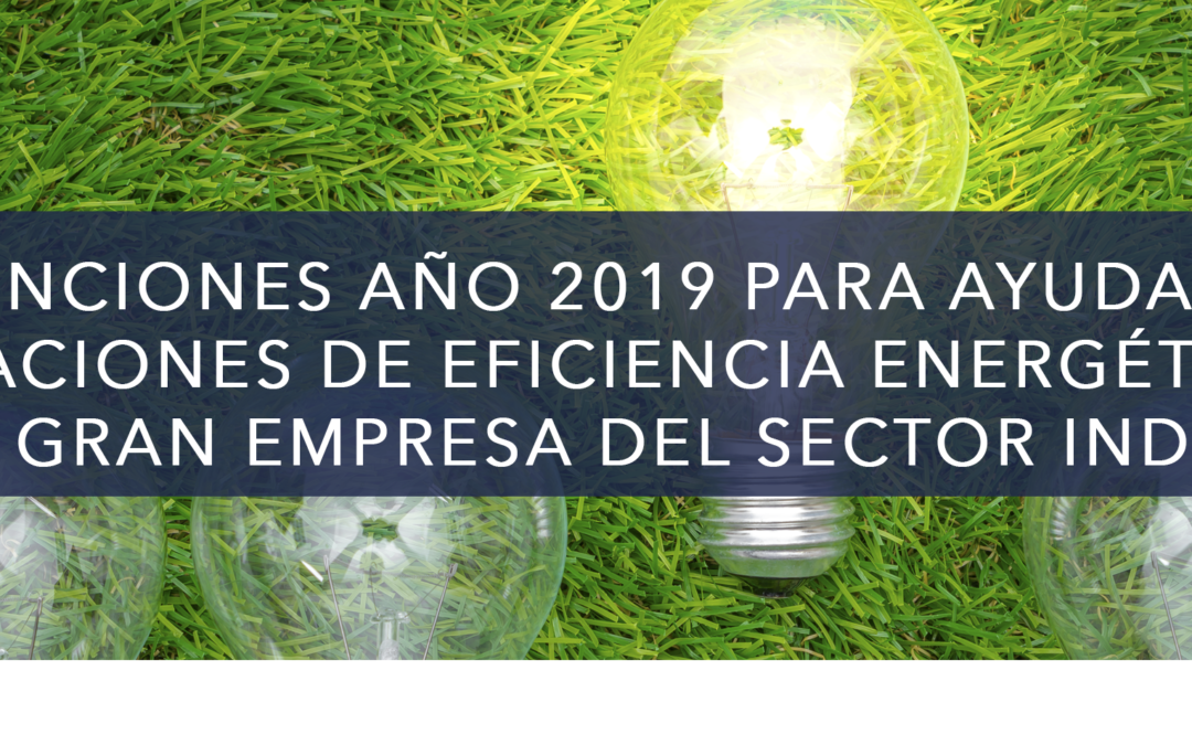 AYUDAS 2019 PARA ACTUACIONES DE EFICIENCIA ENERGÉTICA EN PYME Y GRAN EMPRESA DEL SECTOR INDUSTRIAL