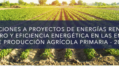 SUBVENCIONES PARA EL AÑO 2021 A PROYECTOS DE ENERGÍAS RENOVABLES Y AHORRO Y EFICIENCIA ENERGÉTICA EN LAS EMPRESAS DE PRODUCCIÓN AGRÍCOLA PRIMARIA