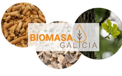FUNDACIÓN DEL CLÚSTER DE BIOMASA DE GALICIA