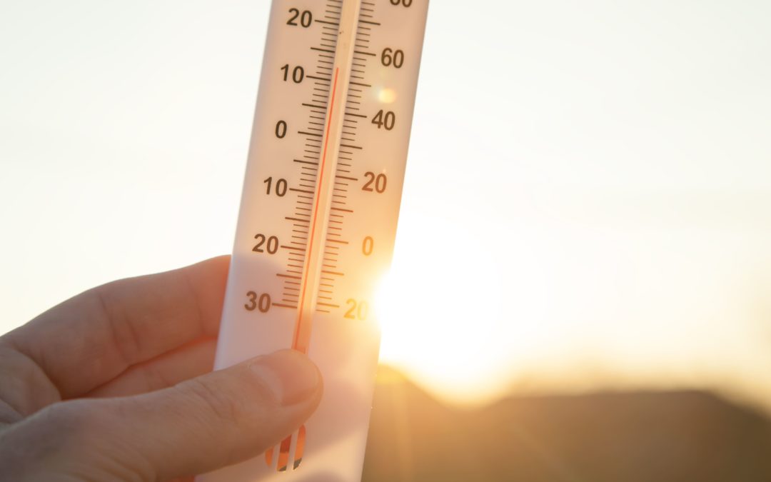 LEY DE CAMBIO CLIMÁTICO Y TRANSICIÓN ENERGÉTICA. Ley 7/2021 de 20 de mayo 2021. (III)