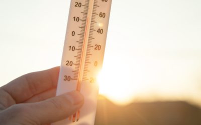 LEY DE CAMBIO CLIMÁTICO Y TRANSICIÓN ENERGÉTICA. Ley 7/2021 de 20 de mayo 2021. (III)