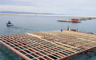 PE201B – AYUDAS DESTINADAS A PYMES DEL SECTOR TRANSFORMADOR.