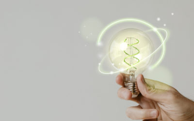 SUBVENCIONES AÑO 2022 PARA PROYECTOS DE AHORRO Y EFICIENCIA ENERGÉTICA EN LAS EMPRESAS DE LOS SECTORES INDUSTRIA Y SERVICIOS (IN417Y)
