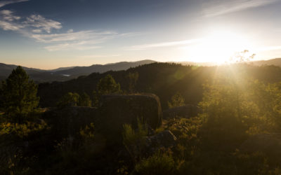 8 sitios web que todo experto en energía debería conocer
