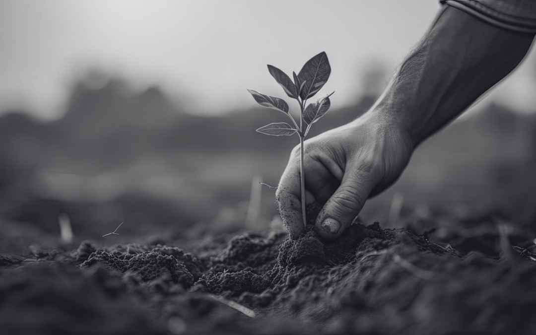 Empleo y Transición Ecológica. Yacimientos de empleo, transformación laboral y retos formativos en los sectores de cambio climático y biodiversidad en España.