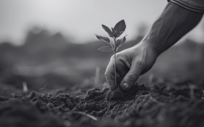 Empleo y Transición Ecológica. Yacimientos de empleo, transformación laboral y retos formativos en los sectores de cambio climático y biodiversidad en España.